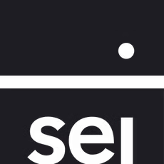 SEI